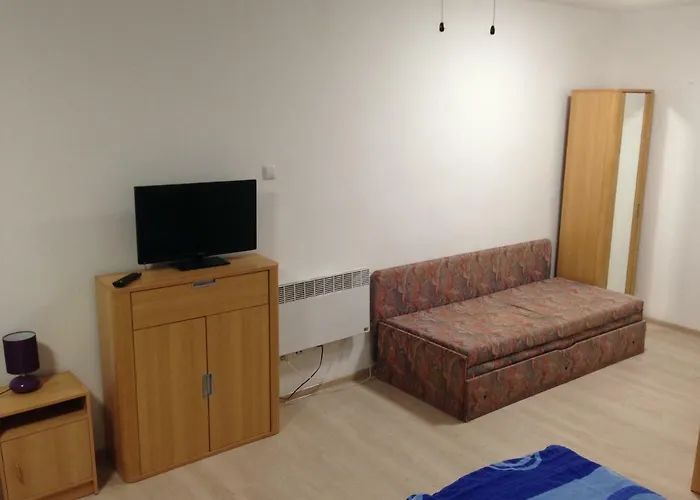 Vilo 게스트하우스